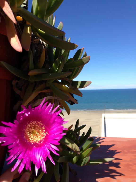 Little Paradise Casa Vacanze Margherita Di Savoia Extérieur photo